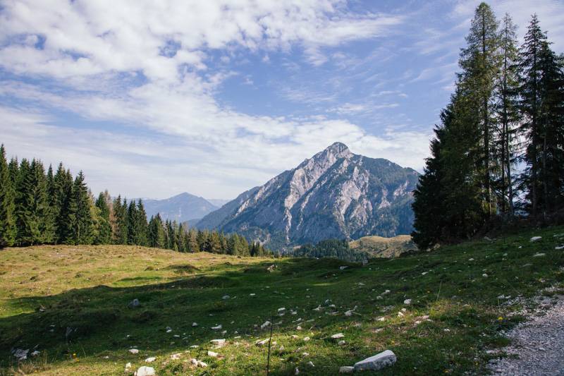 Mountains and trees in Postalm, Austria